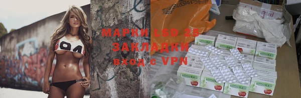 винт Ельня