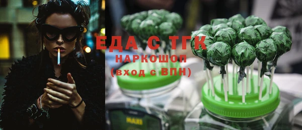 винт Ельня