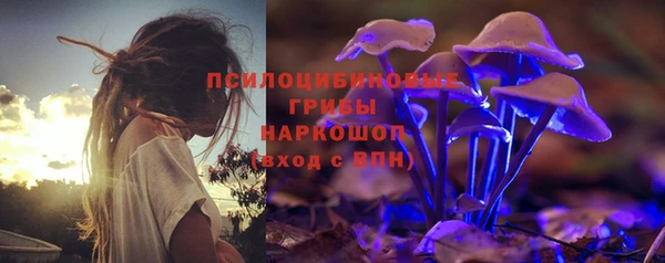 винт Ельня