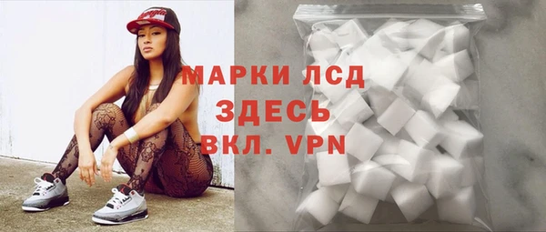 винт Ельня