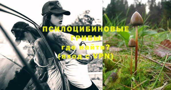 a pvp Елизово