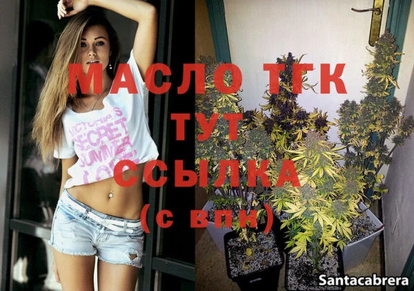 винт Ельня