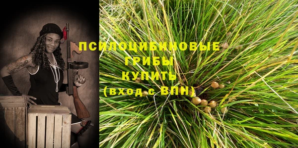 a pvp Елизово