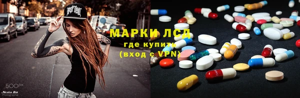 винт Ельня