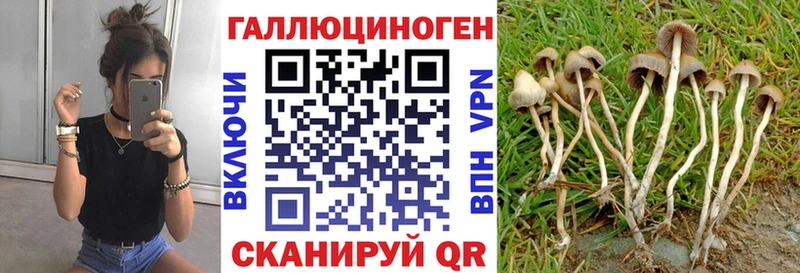 Купить закладки  Олонец  Галлюциногенные грибы Magic Shrooms 