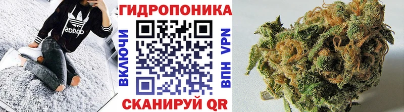 Купить  Олонец  Бошки марихуана индика 